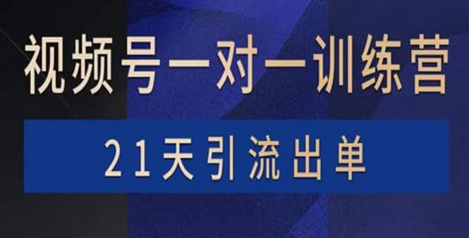 视频号训练营：带货，涨粉，直播，游戏，四大变现新方向，21天引流出单-杨振轩笔记