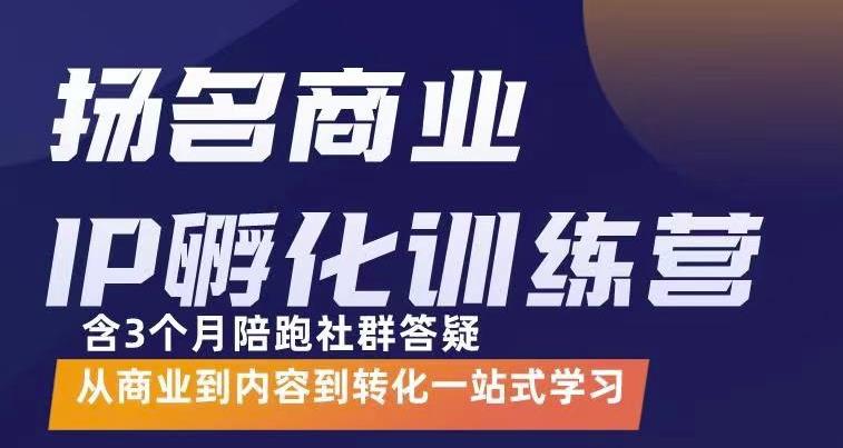 杨名商业IP孵化训练营，从商业到内容到转化一站式学 价值5980元-杨振轩笔记