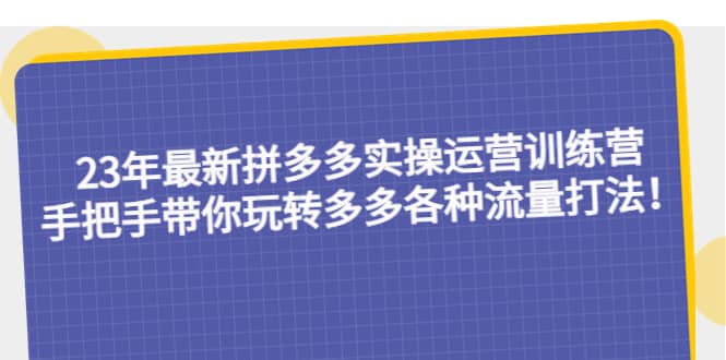 23年最新拼多多实操运营训练营：手把手带你玩转多多各种流量打法！-杨振轩笔记