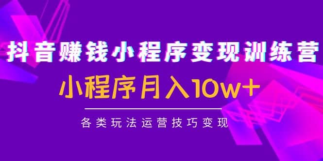 抖音小程序变现训练营：小程序各类玩法运营技巧变现-杨振轩笔记