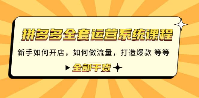 拼多多全套运营系统课程：新手如何开店 如何做流量 打造爆款 等等 全部干货-杨振轩笔记