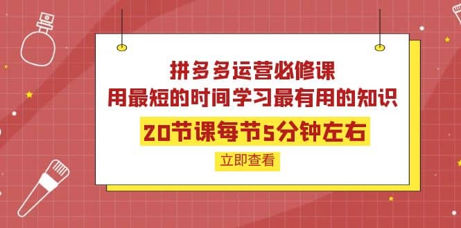 拼多多运营必修课：20节课每节5分钟左右，用最短的时间学习最有用的知识-杨振轩笔记