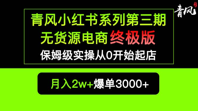 小红书无货源电商爆单终极版【视频教程 实战手册】保姆级实操从0起店爆单-杨振轩笔记