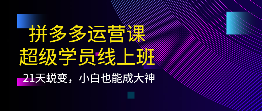 拼多多运营课：超级学员线上班，21天蜕变，小白也能成大神-杨振轩笔记