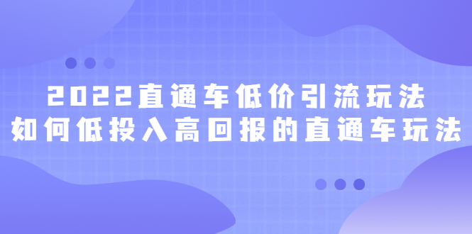 2022直通车低价引流玩法，教大家如何低投入高回报的直通车玩法-杨振轩笔记