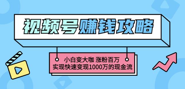 玩转微信视频号赚钱：小白变大咖涨粉百万实现快速变现1000万的现金流-杨振轩笔记