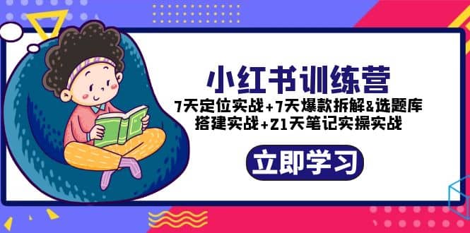 小红书训练营：7天定位实战 7天爆款拆解 选题库搭建实战 21天笔记实操实战-杨振轩笔记