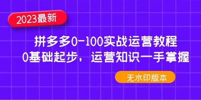 2023拼多多0-100实战运营教程，0基础起步，运营知识一手掌握（无水印）-杨振轩笔记