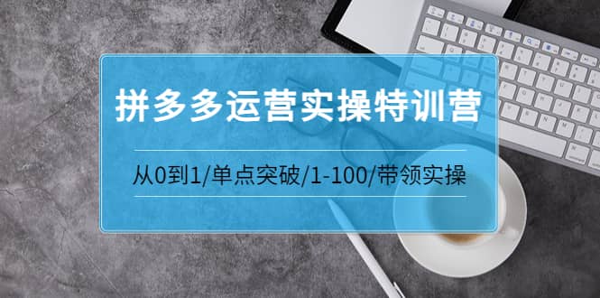 青云:拼多多运营实操特训营：从0到1/单点突破/1-100/带领实操 价值2980元-杨振轩笔记