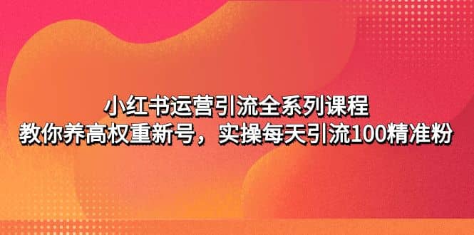 小红书运营引流全系列课程：教你养高权重新号-杨振轩笔记