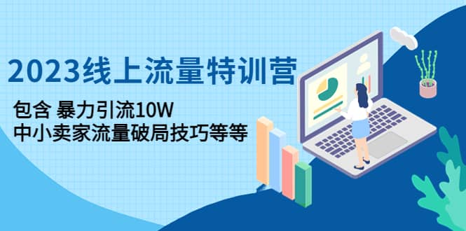 2023线上流量特训营：中小卖家流量破局技巧等等-杨振轩笔记