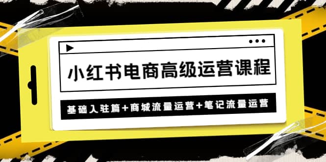 小红书电商高级运营课程：基础入驻篇 商城流量运营 笔记流量运营-杨振轩笔记