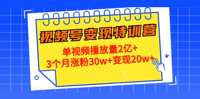 20天视频号变现特训营：单视频播放量2亿-杨振轩笔记