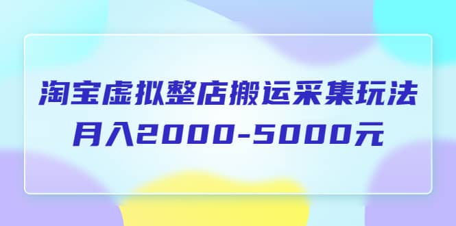 淘宝虚拟整店搬运采集玩法分享课：月入2000-5000元（5节课）-杨振轩笔记