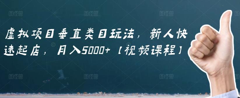 虚拟项目垂直类目玩法，新人快速起店，月入5000 【视频课程】-杨振轩笔记