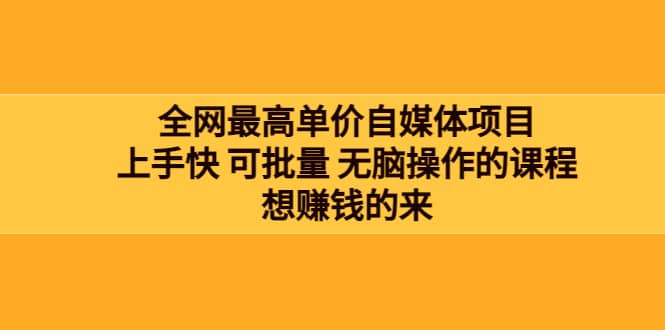 全网最单高价自媒体项目：上手快 可批量 无脑操作的课程，想赚钱的来-杨振轩笔记