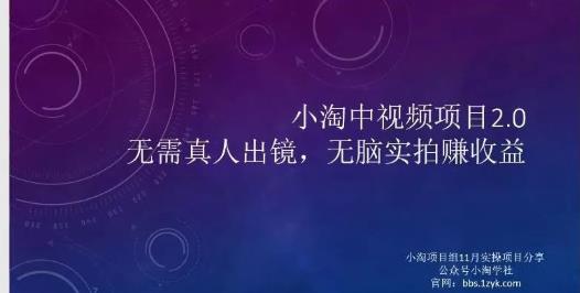 小淘项目组网赚永久会员，绝对是具有实操价值的，适合有项目做需要流程【持续更新】-杨振轩笔记