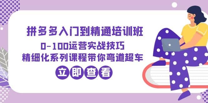 2023拼多多入门到精通培训班：0-100运营实战技巧 精细化系列课带你弯道超车-杨振轩笔记