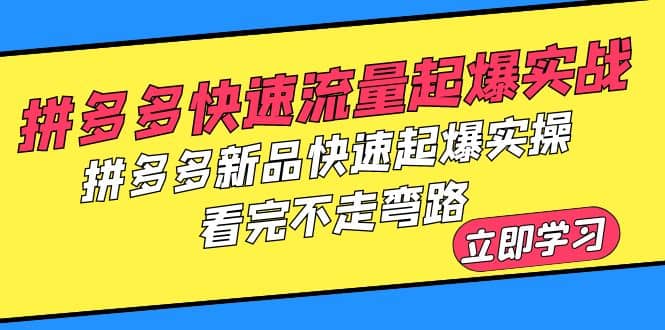 拼多多-快速流量起爆实战，拼多多新品快速起爆实操，看完不走弯路-杨振轩笔记