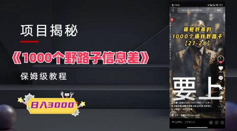 1000个野路子信息差保姆式教程-单日变现3000 的玩法解密-杨振轩笔记