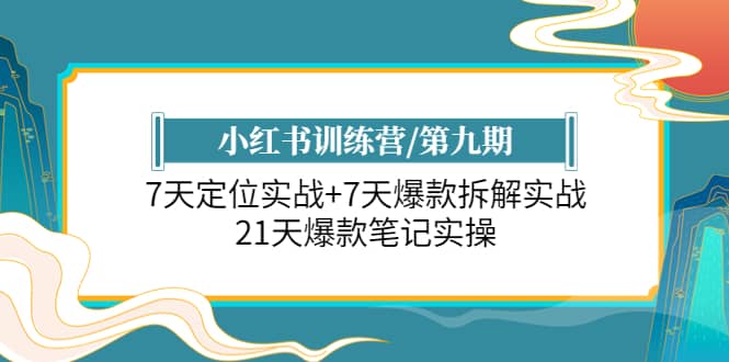 小红书训练营/第九期：7天定位实战 7天爆款拆解实战，21天爆款笔记实操-杨振轩笔记