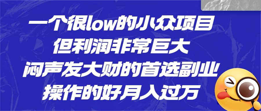 一个很low的小众项目，但利润非常巨大，闷声发大财的首选副业，月入过万-杨振轩笔记