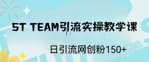 ST TEAM引流实操课，日引流网创粉100-杨振轩笔记