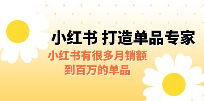 某公众号付费文章《小红书 打造单品专家》小红书有很多月销额到百万的单品-杨振轩笔记