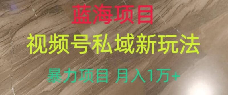 蓝海项目，视频号私域新玩法，暴力项目月入1万 【揭秘】-杨振轩笔记
