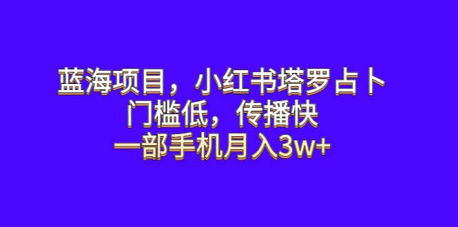 蓝海项目，小红书塔罗占卜，门槛低，传播快，一部手机月入3w-杨振轩笔记