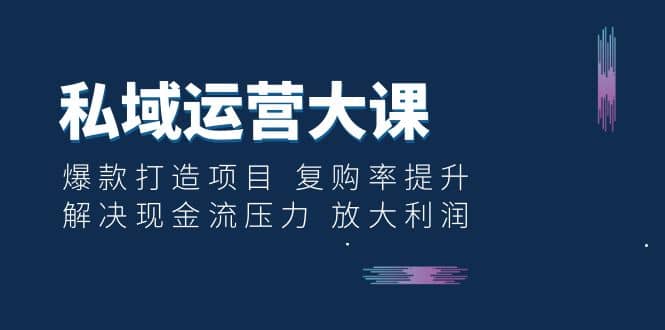 私域运营大课：爆款打造项目 复购率提升 解决现金流压力 放大利润-杨振轩笔记