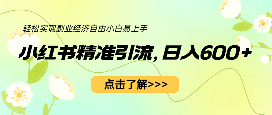 小红书精准引流，小白日入600 ，轻松实现副业经济自由（教程 1153G资源）-杨振轩笔记