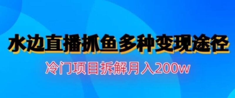 水边直播抓鱼，多种变现途径冷门项目，月入200w拆解【揭秘】-杨振轩笔记
