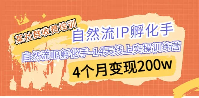 某社群收费培训：自然流IP 孵化手-14天线上实操训练营 4个月变现200w-杨振轩笔记