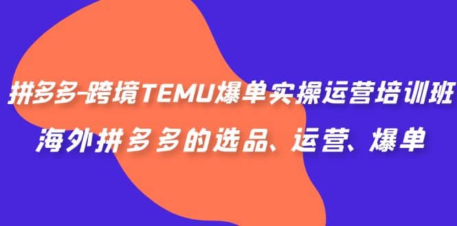 拼多多-跨境TEMU爆单实操运营培训班，海外拼多多的选品、运营、爆单-杨振轩笔记