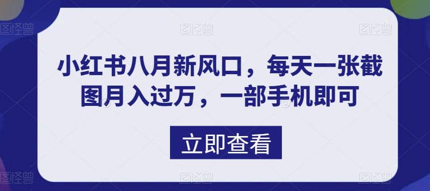 八月新风口，小红书虚拟项目一天收入1000 ，实战揭秘-杨振轩笔记