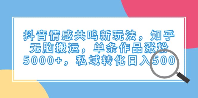 抖音情感共鸣新玩法，知乎无脑搬运，单条作品涨粉5000 ，私域转化日入500-杨振轩笔记