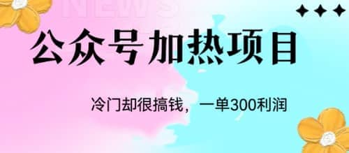 冷门公众号加热项目，一单利润300-杨振轩笔记