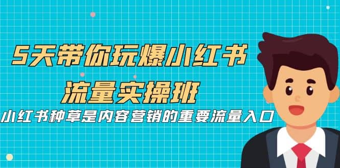 5天带你玩爆小红书流量实操班，小红书种草是内容营销的重要流量入口-杨振轩笔记