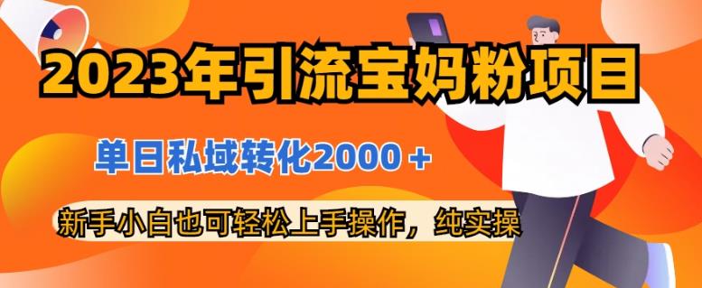 2023年引流宝妈粉项目，单日私域转化2000＋，新手小白也可轻松上手操作，纯实操-杨振轩笔记