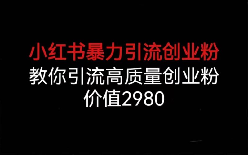 小红书暴力引流创业粉，教你引流高质量创业粉，价值2980-杨振轩笔记