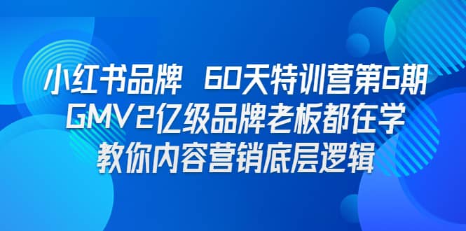 小红书品牌 60天特训营第6期 GMV2亿级品牌老板都在学 教你内容营销底层逻辑-杨振轩笔记