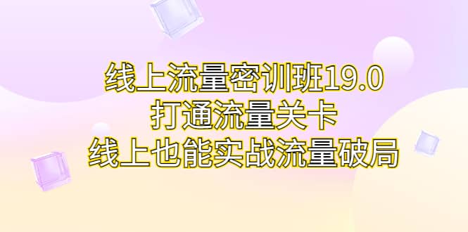 线上流量密训班19.0，打通流量关卡，线上也能实战流量破局-杨振轩笔记