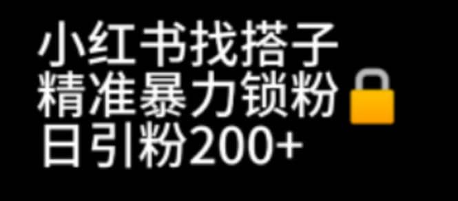 小红书找搭子暴力精准锁粉 引流日引200 精准粉-杨振轩笔记