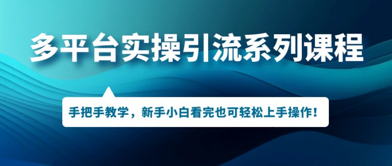 多平台实操引流系列课程，手把手教学，新手小白看完也可轻松上手引流操作-杨振轩笔记