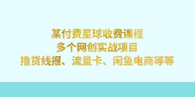 某付费星球课程：多个网创实战项目，撸货线报、流量卡、闲鱼电商等等-杨振轩笔记