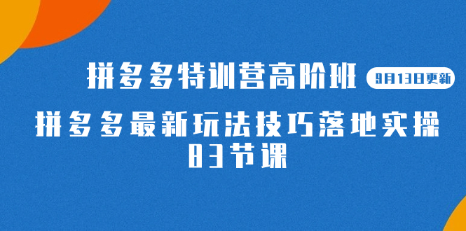 2023拼多多·特训营高阶班【9月13日更新】拼多多最新玩法技巧落地实操-83节-杨振轩笔记