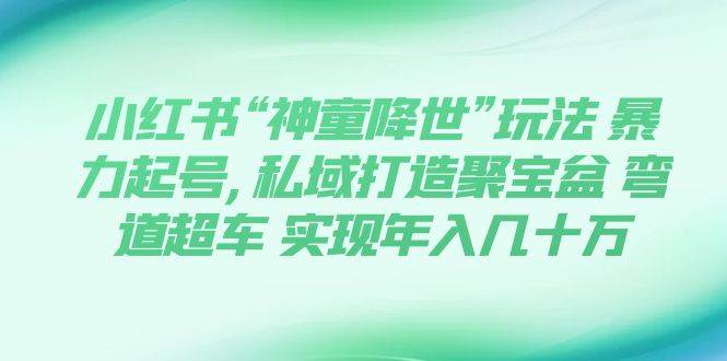 小红书“神童降世”玩法 暴力起号,私域打造聚宝盆 弯道超车 实现年入几十万-杨振轩笔记