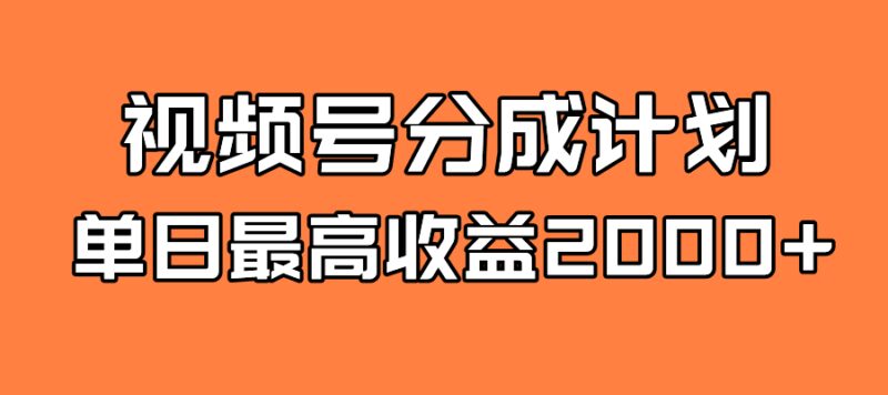 全新蓝海 视频号掘金计划 日入2000-杨振轩笔记