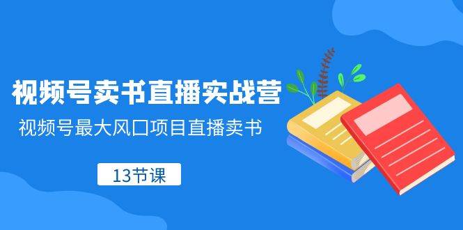 视频号-卖书直播实战营，视频号最大风囗项目直播卖书（13节课）-杨振轩笔记